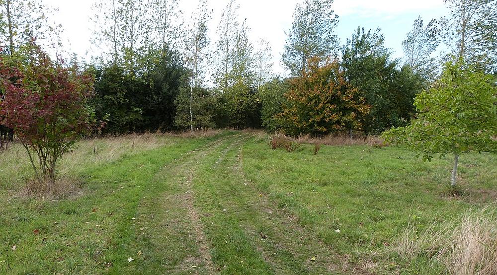 Property for Sale South Somercotes LINCOLNSHIRE Rural Scene