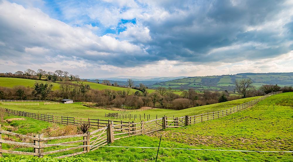 Talley CARMARTHENSHIRE