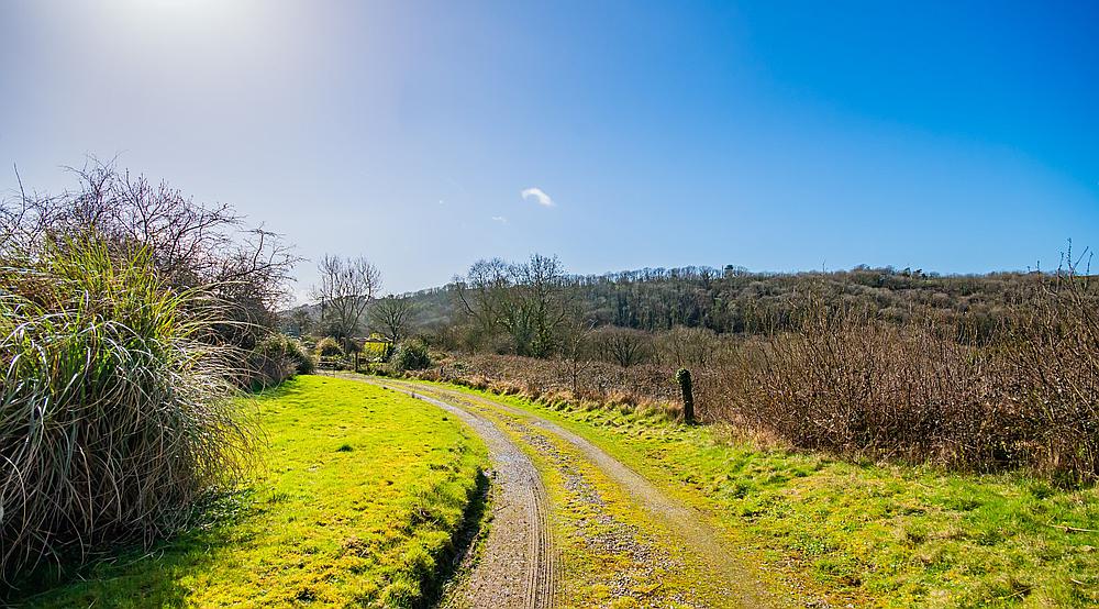 Property for Sale New Quay CEREDIGION Rural Scene