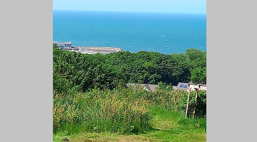 Property for Sale New Quay CEREDIGION Rural Scene