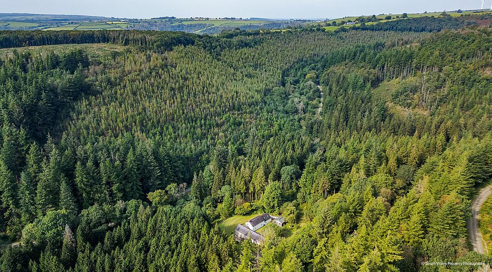 Brechfa Forest CARMARTHENSHIRE