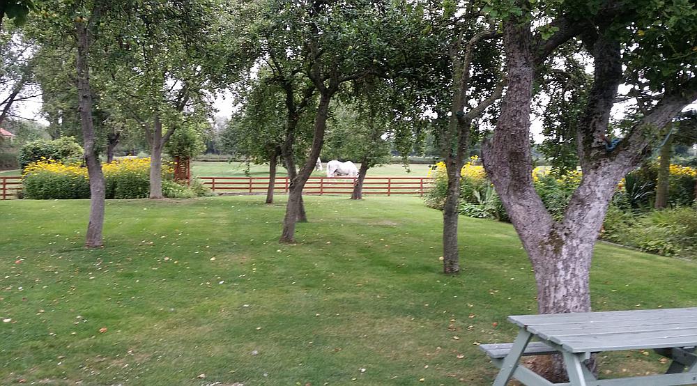 Sykehouse EAST RIDING of YORKSHIRE